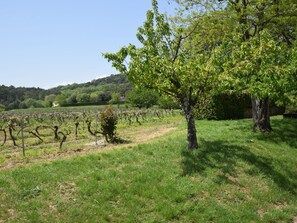 Exterior - Gite on a Quiet Property, Through a Wine Garden Surrounding (Lagorce)