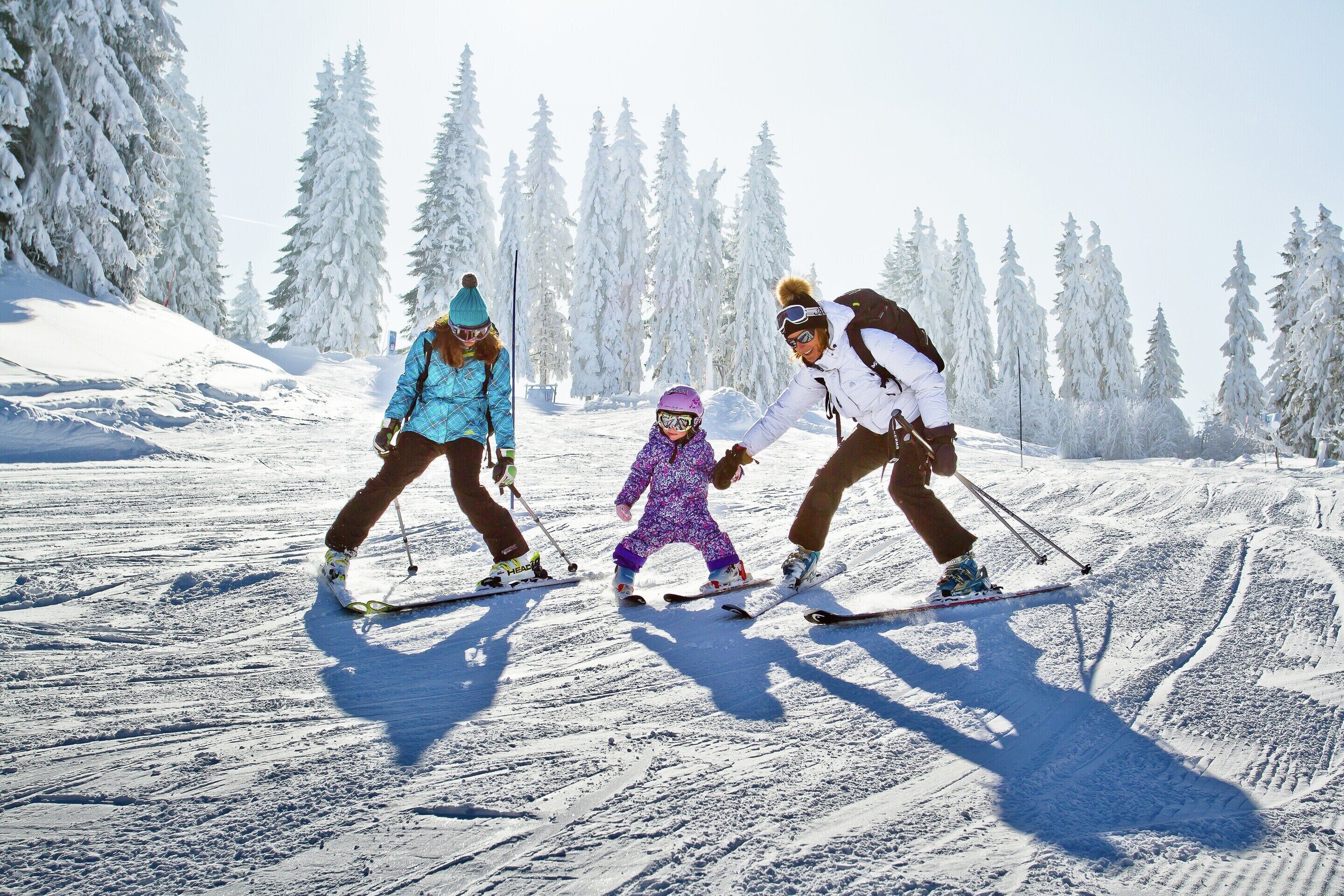 アパートメント | 内装の詳細