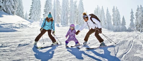 アパートメント | 内装の詳細