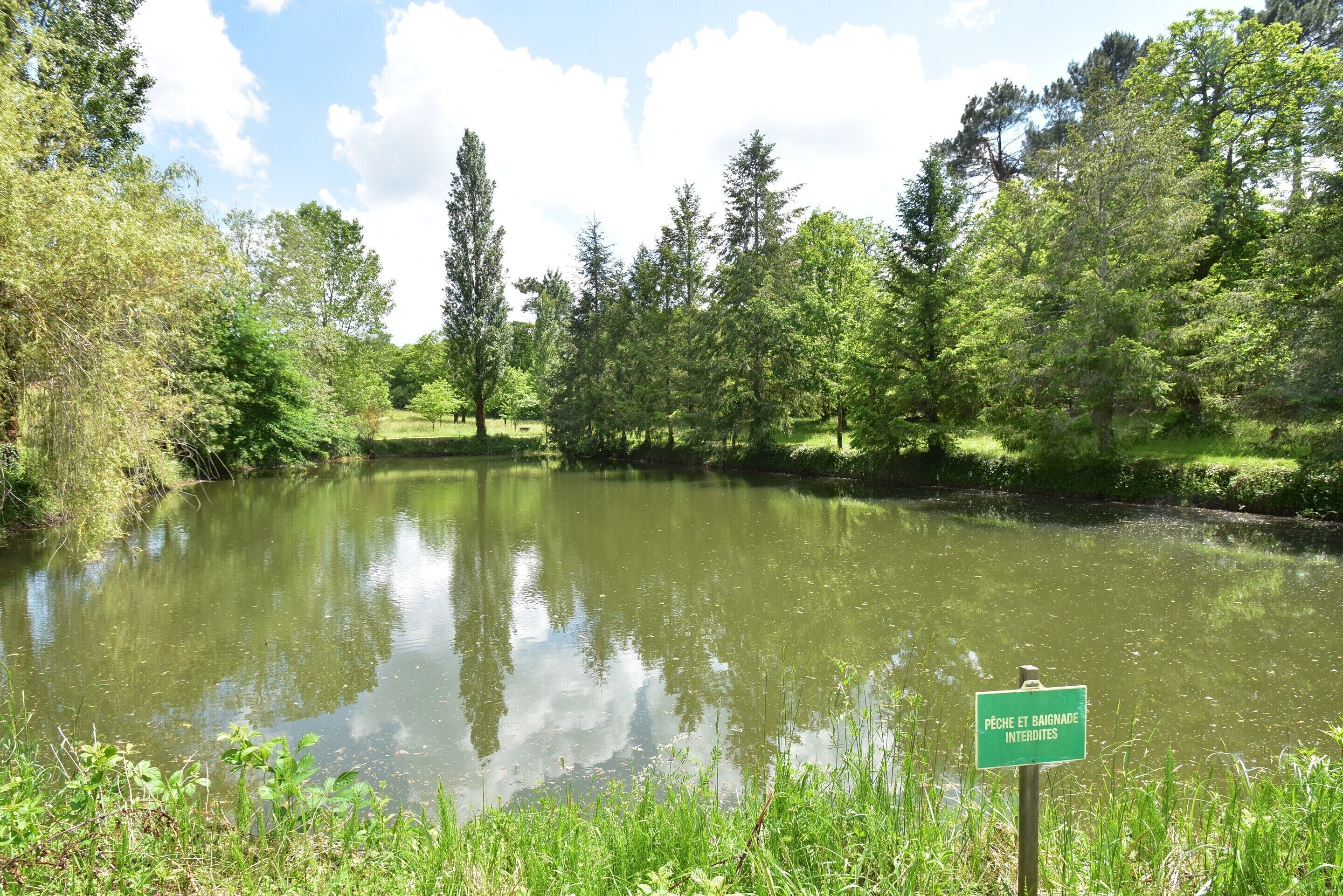 A tranquil pond surrounded by lush greenery and trees, with a sign indicating it is a protected area.