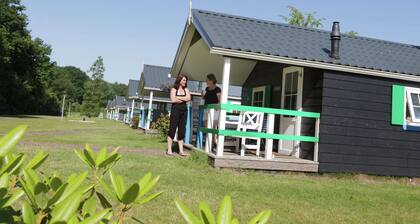 Charming Lodge in Staphorst With Pool Access