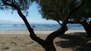 Une plage avec des bateaux, une promenade en bois et des arbres.