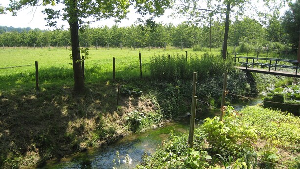 Ländliche Landschaft mit einem Bach, einer Holzbrücke und einem eingezäunten Feld.