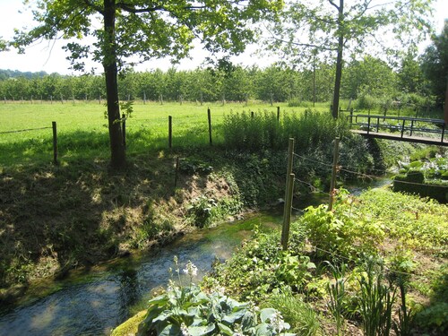 Welcoming Apartment near Town Center in Mesch