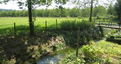 Welcoming Apartment near Town Center in Mesch