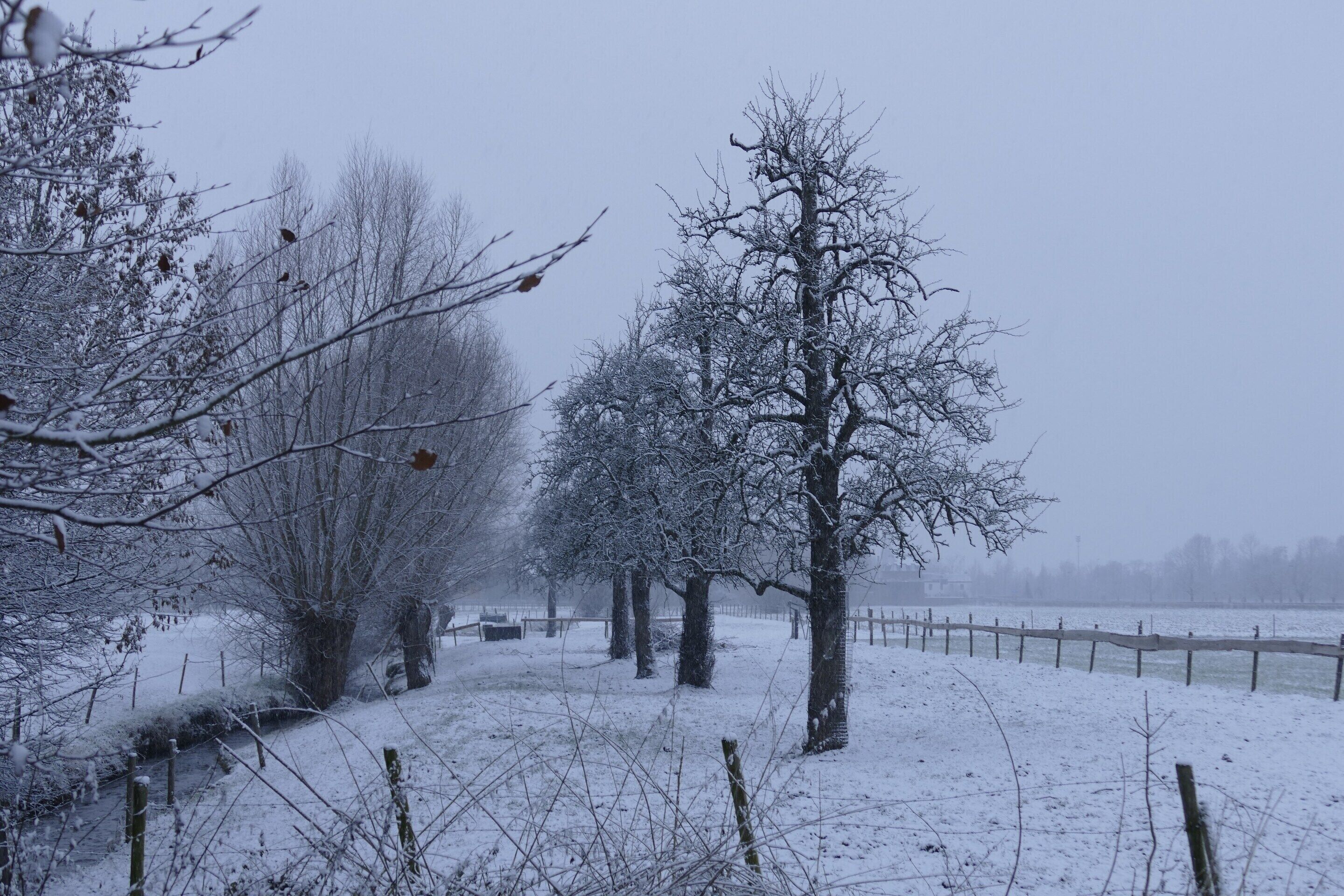 A snow-covered landscape with bare trees and a fence.
