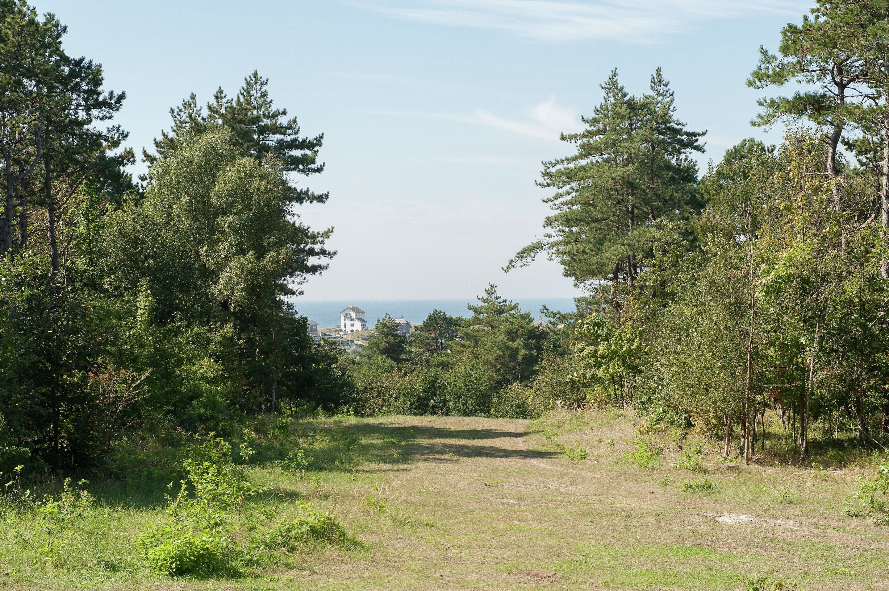 A natural landscape with a clear path leading through a forested area towards a distant building.