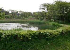 Hus | Utsikt fra overnattingsstedet