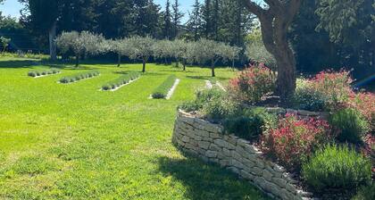 Mansion in Provence With Pool & Near Town