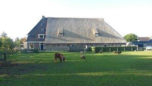 Eksteriør