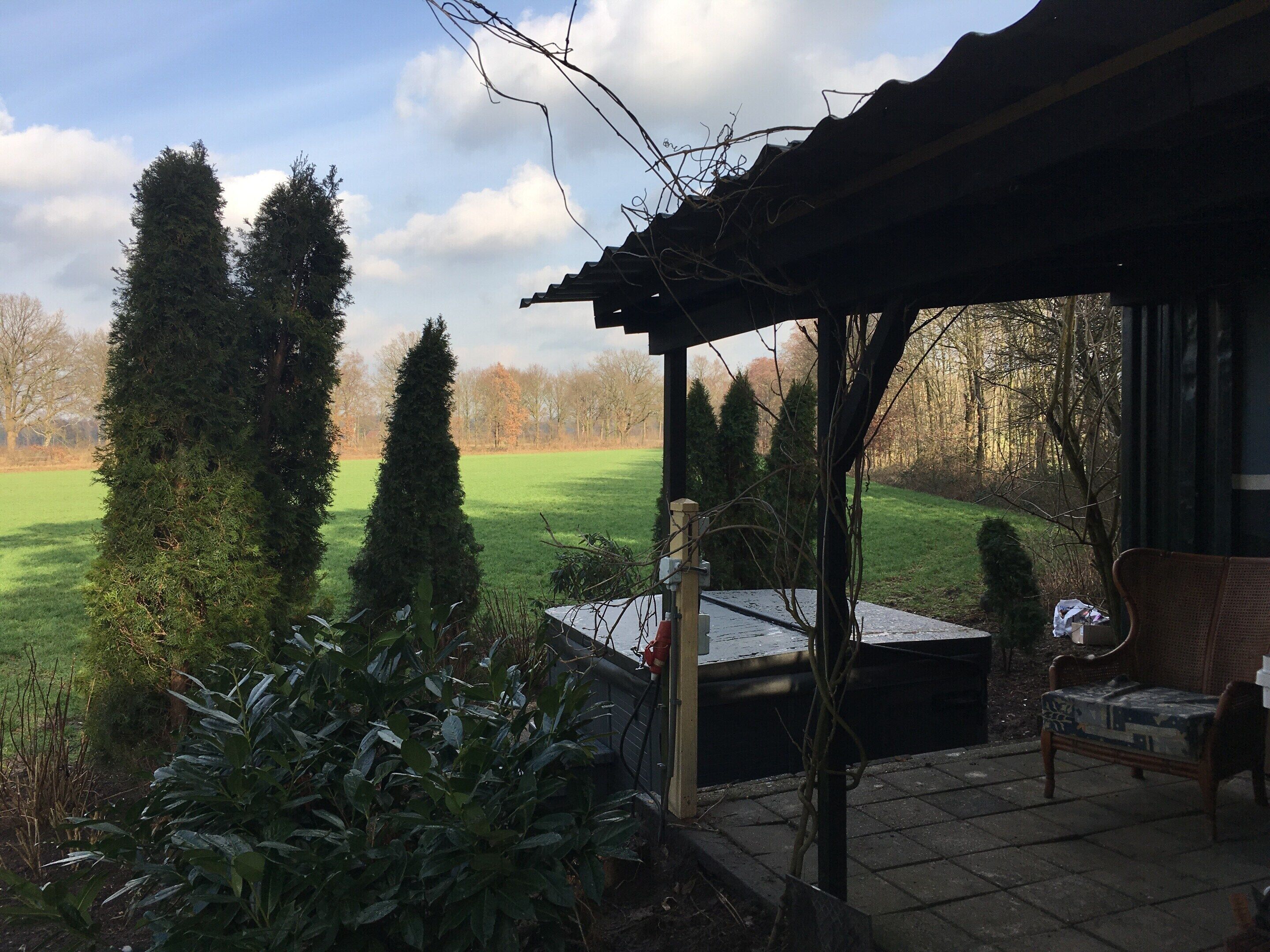 A covered patio area with a view of a green field and tall trees.