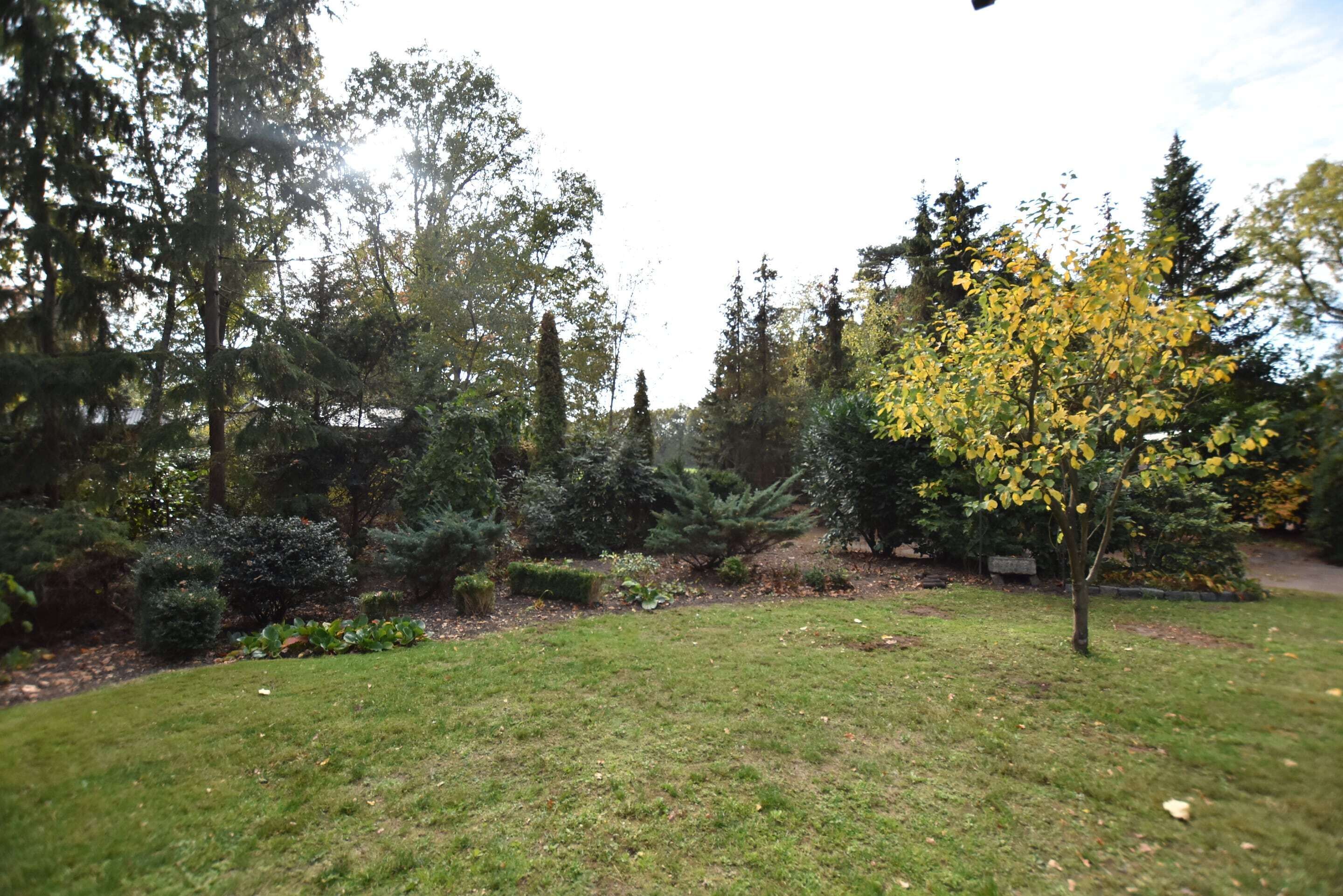 Un jardin bien entretenu, agrémenté de divers arbres et arbustes, d’une pelouse verdoyante et d’un sentier en pierre.