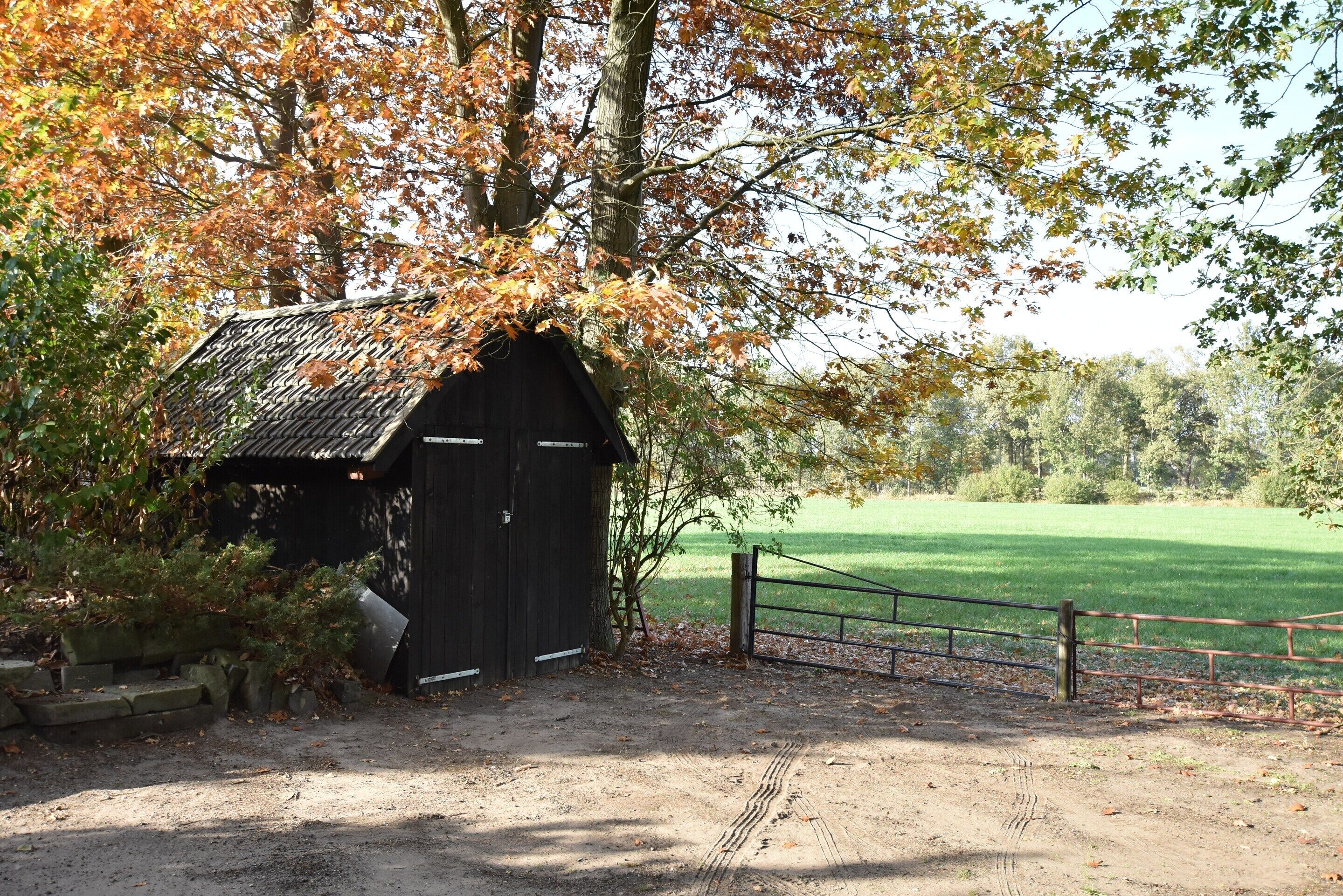 A rustic barn with a dirt path leading to it, surrounded by trees and a fenced field.