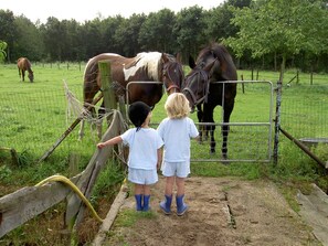 Huoneisto | Yksityiskohta sisätiloista