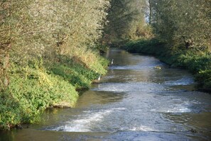 公寓 | 住宿景观
