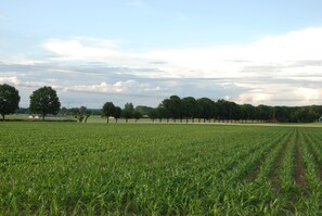 Apartamento | Vista da propriedade
