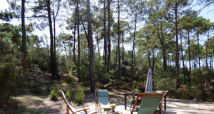 Chic Retreat by the Dunes