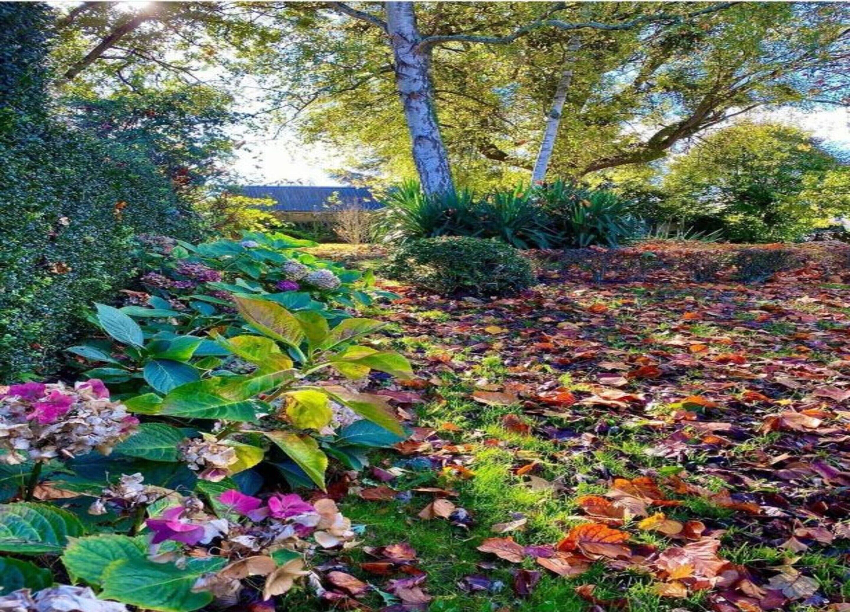 Cottage | View from property