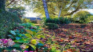 A garden with various plants and trees, a pathway, and a building in the background. - Family Escape With Terrace (Isigny-le-Buat)