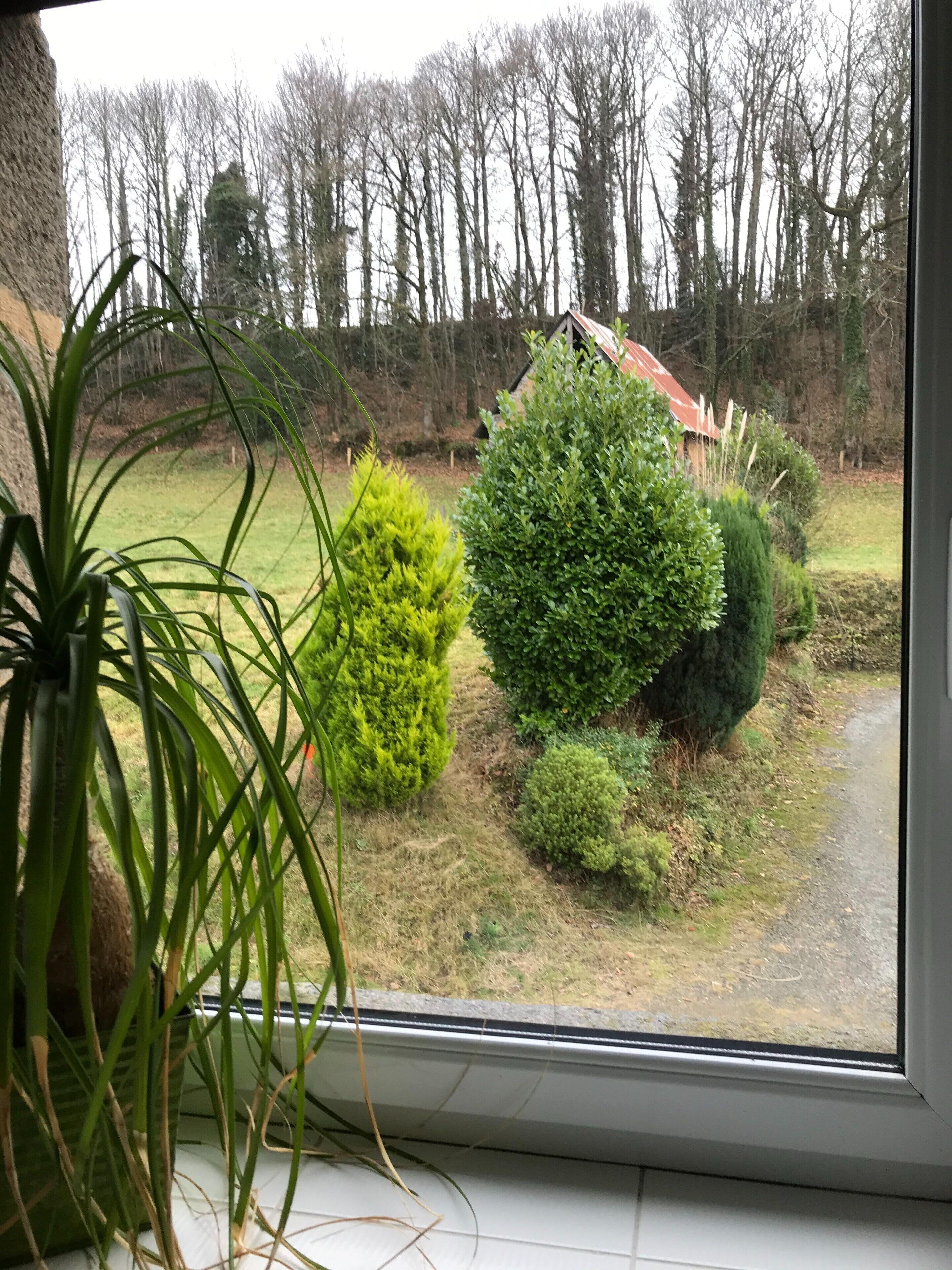 Cottage | Garden