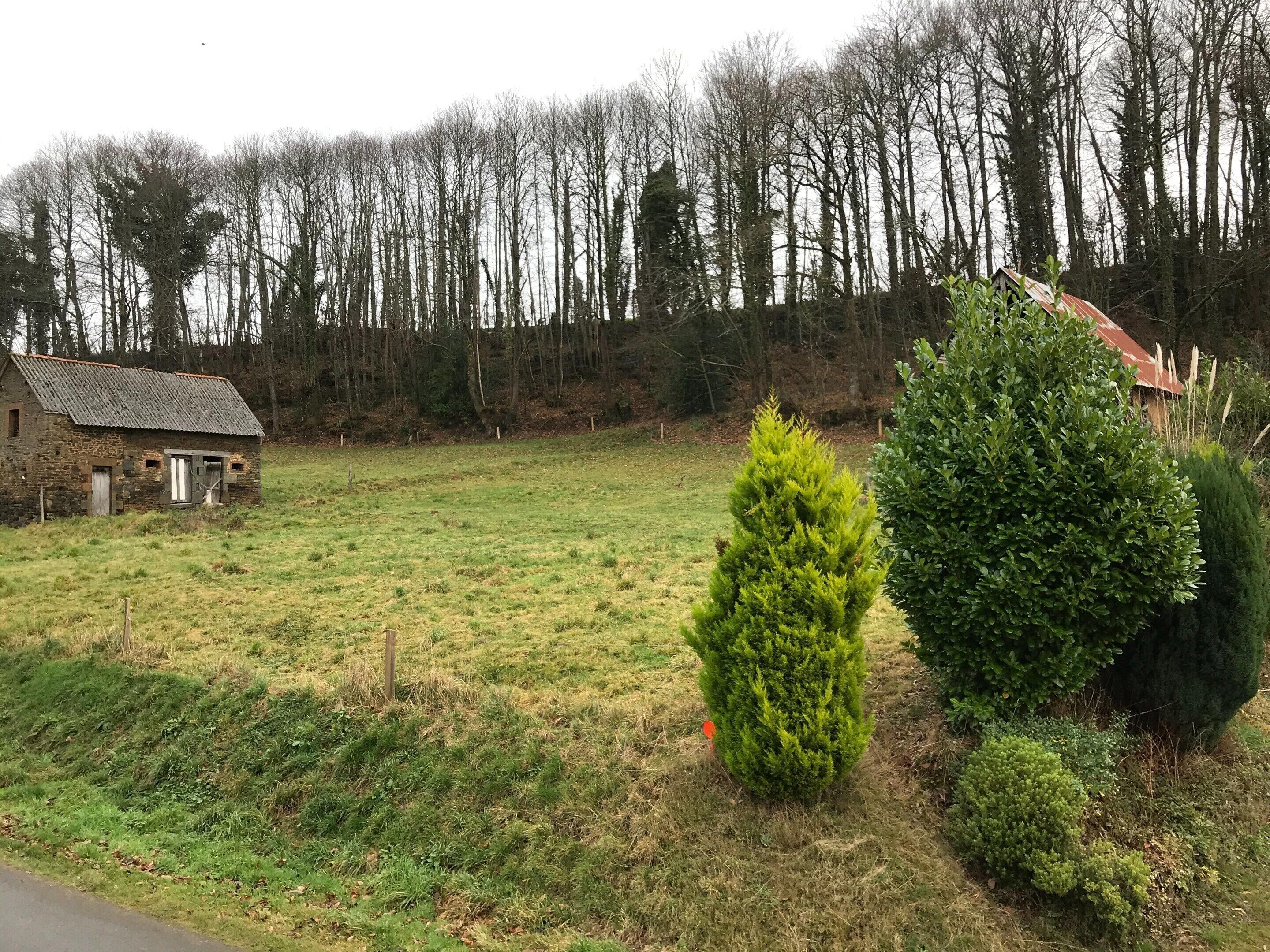 Cottage | Garden