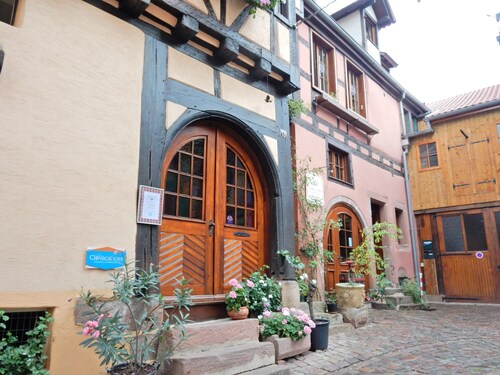 Apartment in Riquewihr Near Vineyards