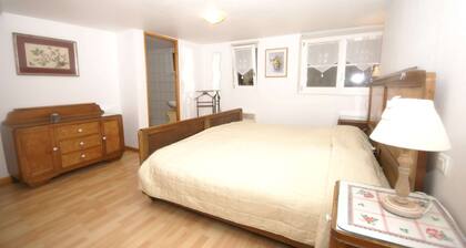 Apartment in Riquewihr Near Vineyards