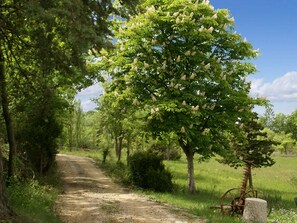 Garden - Villa in Saignon With Pool and Scenic Views (Saignon)
