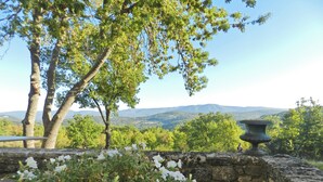 A stone wall with white flowers in the foreground, a stone table with a vase, and a view of trees and mountains in the background. - Villa in Saignon With Pool and Scenic Views (Saignon)