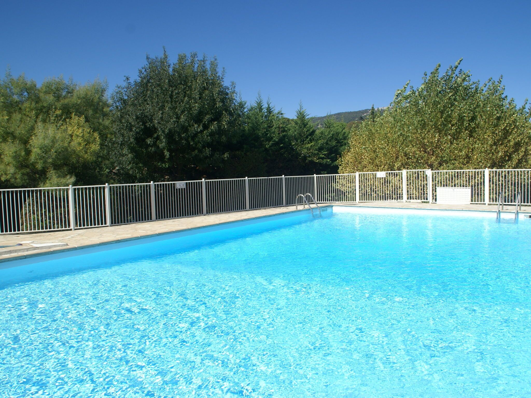 House | Pool | Outdoor pool
