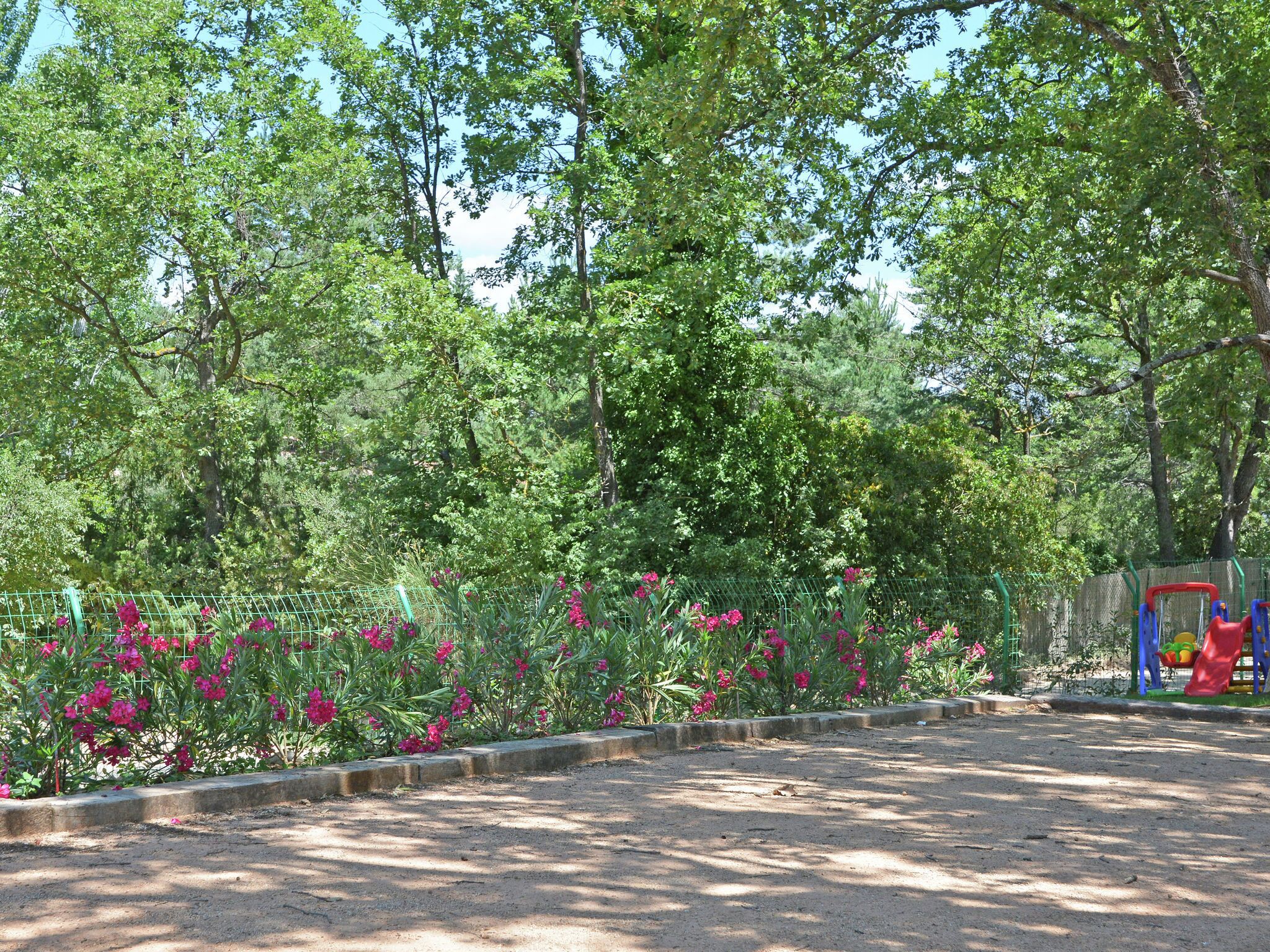 Taman