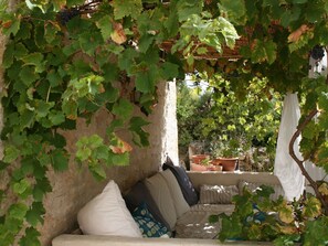 Exterior - Gite Le Mauzac in 250 Year old Wine (Fayssac)