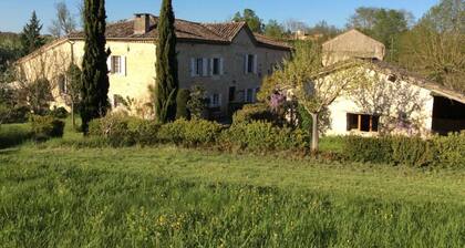 Gite Le Mauzac in 250 Year old Wine