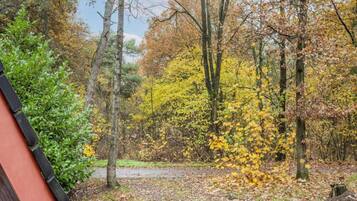 House | View from property