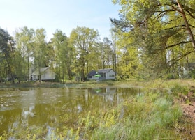 Un paisaje tranquilo junto al lago con dos casas, una de ellas con techo verde y otra con fachada blanca, rodeadas de abundante vegetación y árboles.