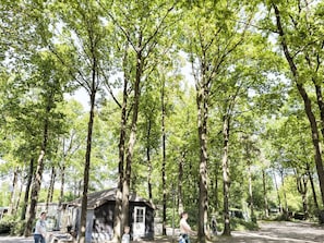 Exterior - Chalet With Dishwasher, in Natural Environment (IJhorst)