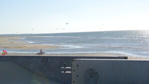 Une plage avec une barrière en béton, une personne qui marche avec une planche de surf, et de nombreux cerfs-volants qui volent dans le ciel.