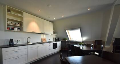 Farm Located in a Beautiful Area of Friesland