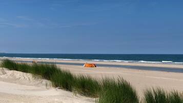 House | View from property