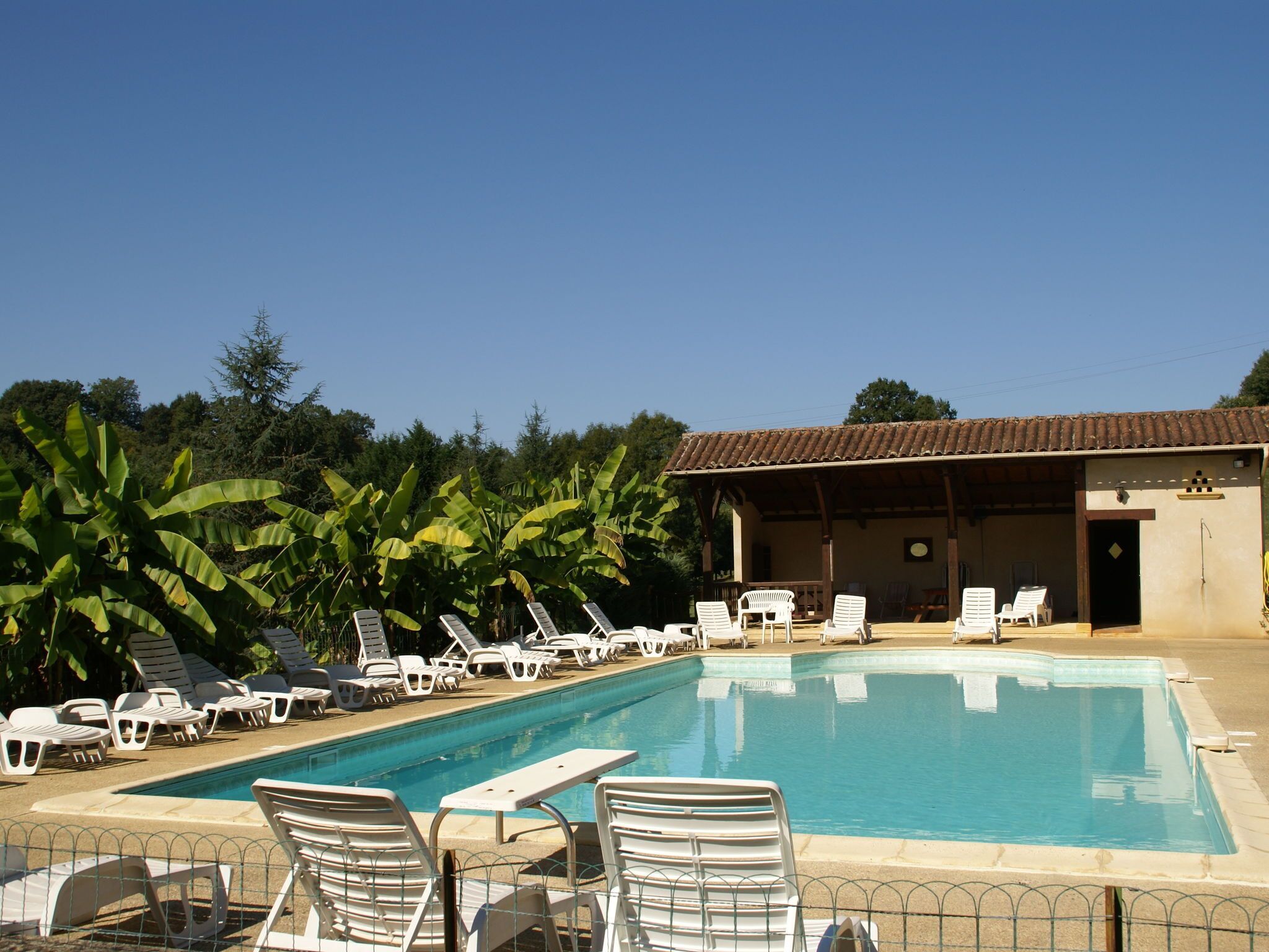 House | Pool | Outdoor pool