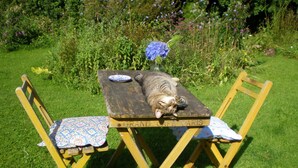 Unclassified image, 2 of 30, button - Pretty Holiday Home in Kollum With Private Garden (Kollum)
