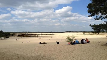 Nhà gỗ | Quang cảnh nhìn từ nơi lưu trú