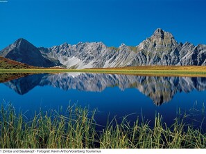 Eksteriør