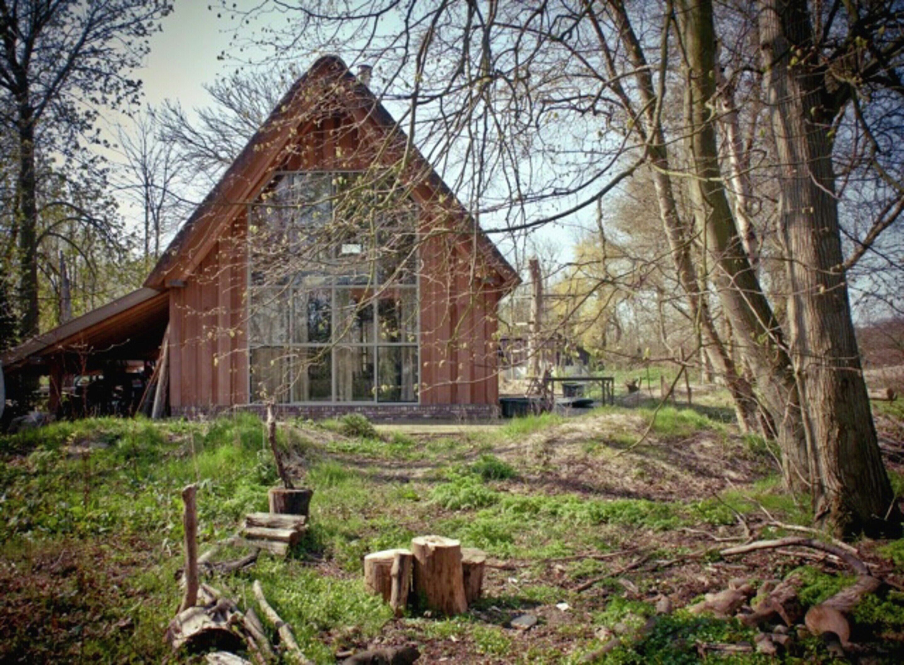 A rustic wooden cabin with a large window, surrounded by trees and a grassy area with wooden stumps.