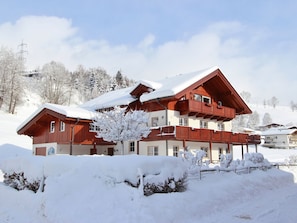 Exterior - Modern Apartment Near Ski Area in Maria Alm (Saalfelden am Steinernen Meer)