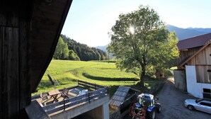Une vue depuis une grange avec une terrasse en béton, un tracteur et une voiture garée à l’extérieur.