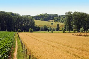 House | View from property - Lovely Farmhouse in Wijlre near Forest (Wijlre)