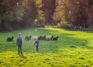 House | View from property - Lovely Farmhouse in Wijlre near Forest (Wijlre)