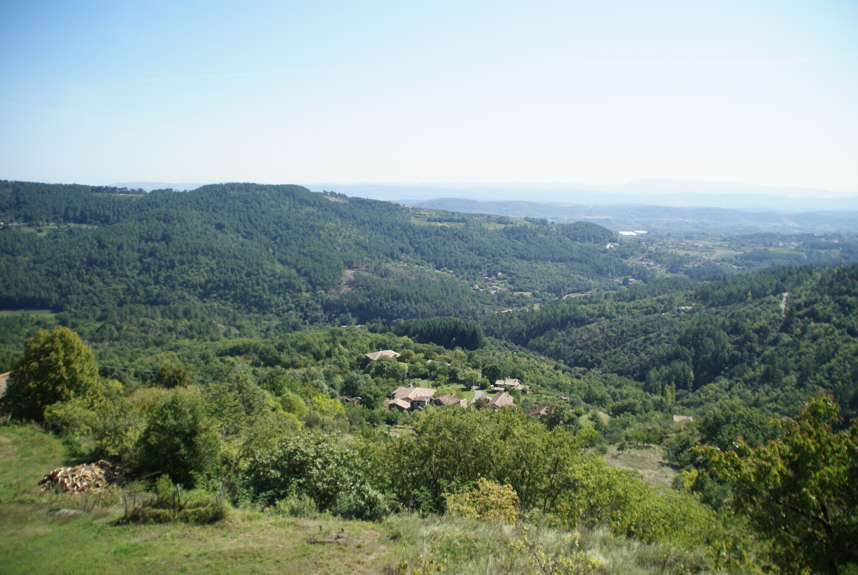 Un paisaje rural con casas dispersas en medio de bosques densos.