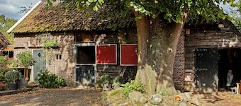 An Atmospheric Guest House on the Grounds of a Farm House in Eexterzandvoort